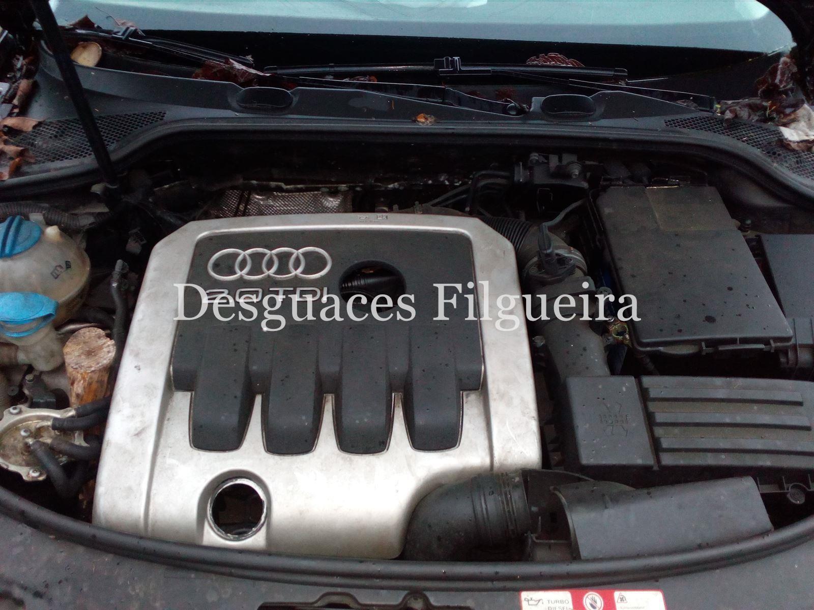 Despiece Audi A3 (8P) 2.0 TDI 16V BKD - Imagen 7