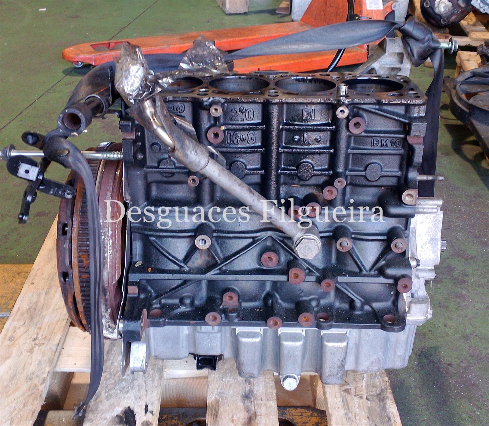 Bloque Volkswagen Passat 2.0 TDI BMP - Imagen 3