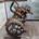 Bomba inyectora Ford Courier 1.8 D - Imagen 1
