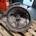 Caja cambios Mercedes Benz MB 100 718230 - Imagen 1