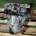 Caja cambios Renault Kangoo 1.5 DCI K9K A704 JB3974 - Imagen 2