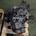 Caja de cambios Citroen C3 1.4 I KFV 20CQ13 - Imagen 2