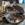 Caja de cambios Citroen C4 1.6 16V 20CQ16 - Imagen 1