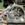 Caja de cambios Ford Focus II 1.8 TDCI KKDA 6M5R7002ZA - Imagen 1