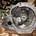 Caja de cambios Opel Corsa C 1.3 CDTI Z13DT F17W355 - Imagen 1
