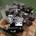 Caja de cambios Seat Cordoba 1. 4 TDI AMF GGV - Imagen 2