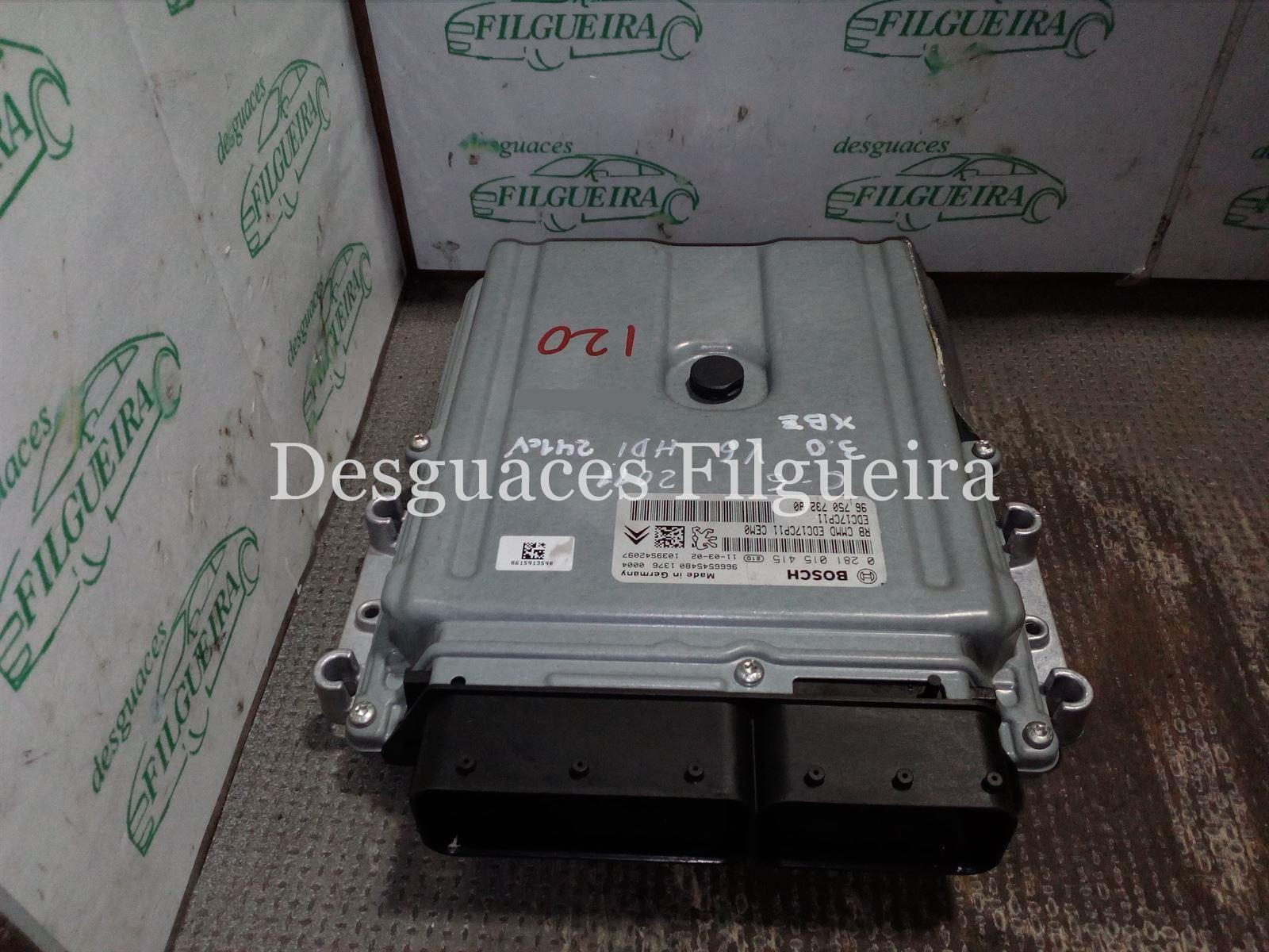 Centralita check control Citroen C5 Tourer 3.0 HDI V6 9675073280 - Imagen 1