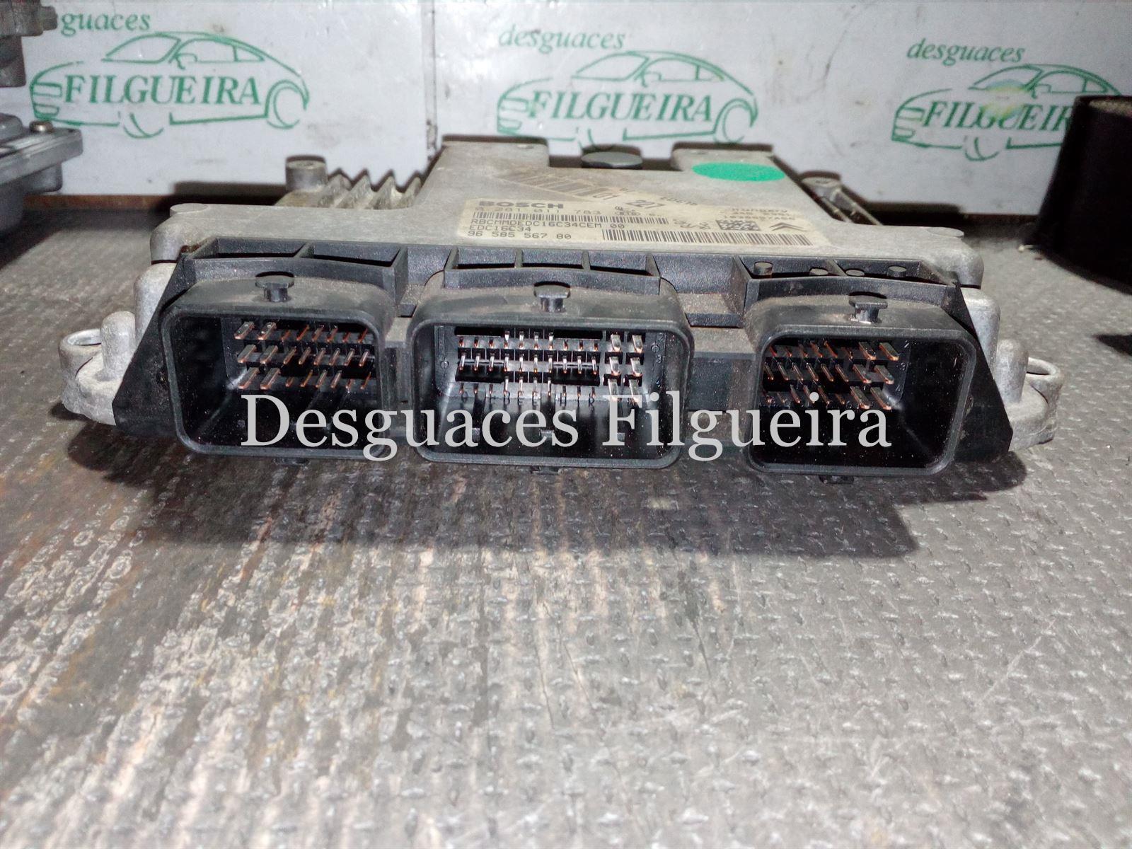 Centralita motor Ecu Peugeot 206 1.4 HDi 8HZ - Imagen 1