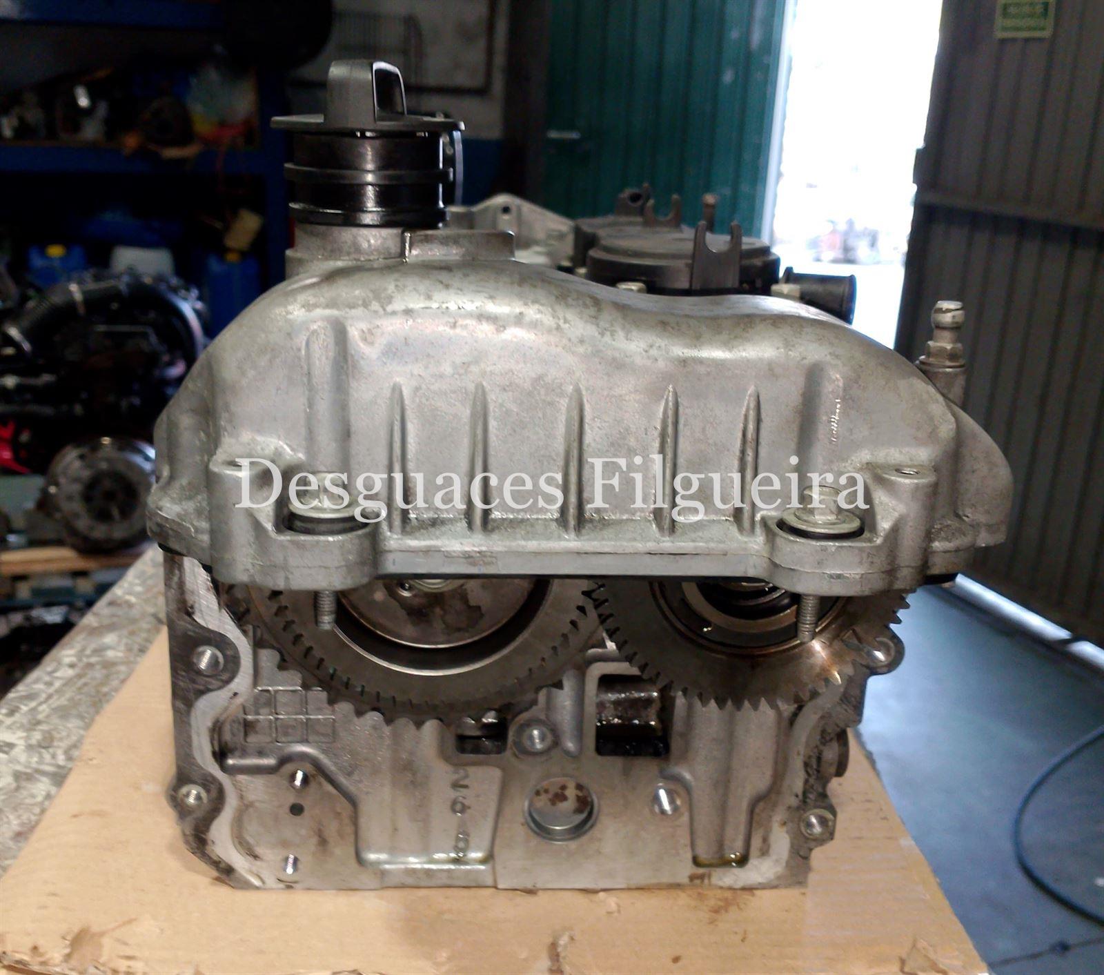 Culata Chevrolet Captiva 2.2 VCDI Z22D1 25183241 - Imagen 6