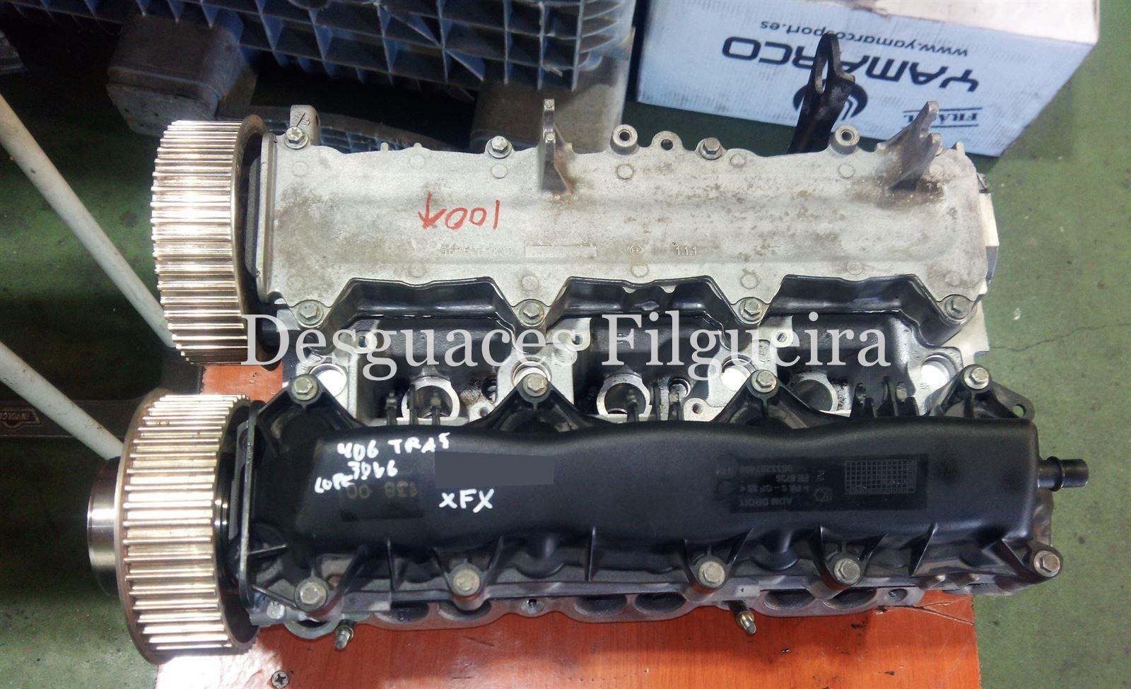 Culata trasera Peugeot 406 coupe 3.0 V6 XFX - Imagen 2