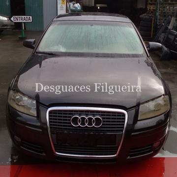 Despiece Audi A3 (8P) 1.9 TDI   BKC - Imagen 1