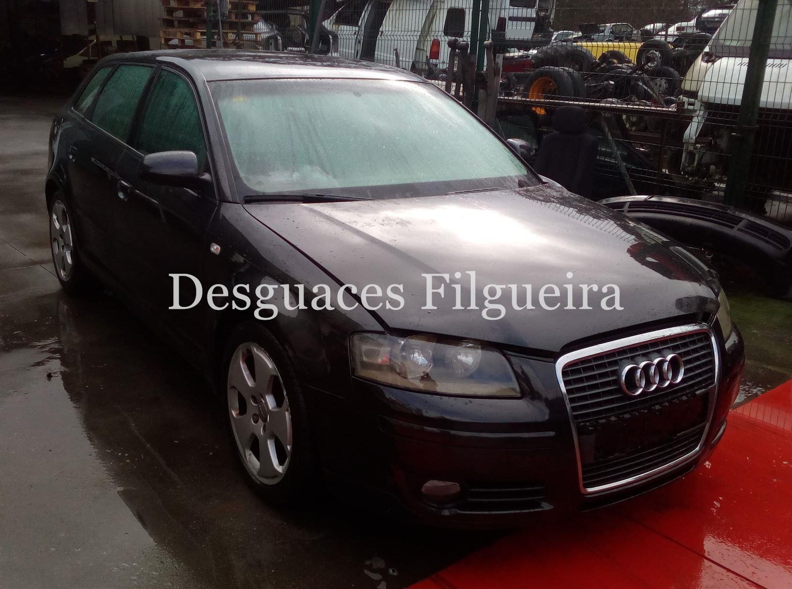 Despiece Audi A3 (8P) 1.9 TDI BKC - Imagen 3