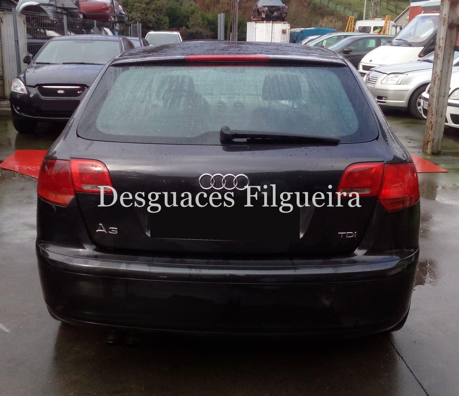 Despiece Audi A3 (8P) 1.9 TDI BKC - Imagen 4