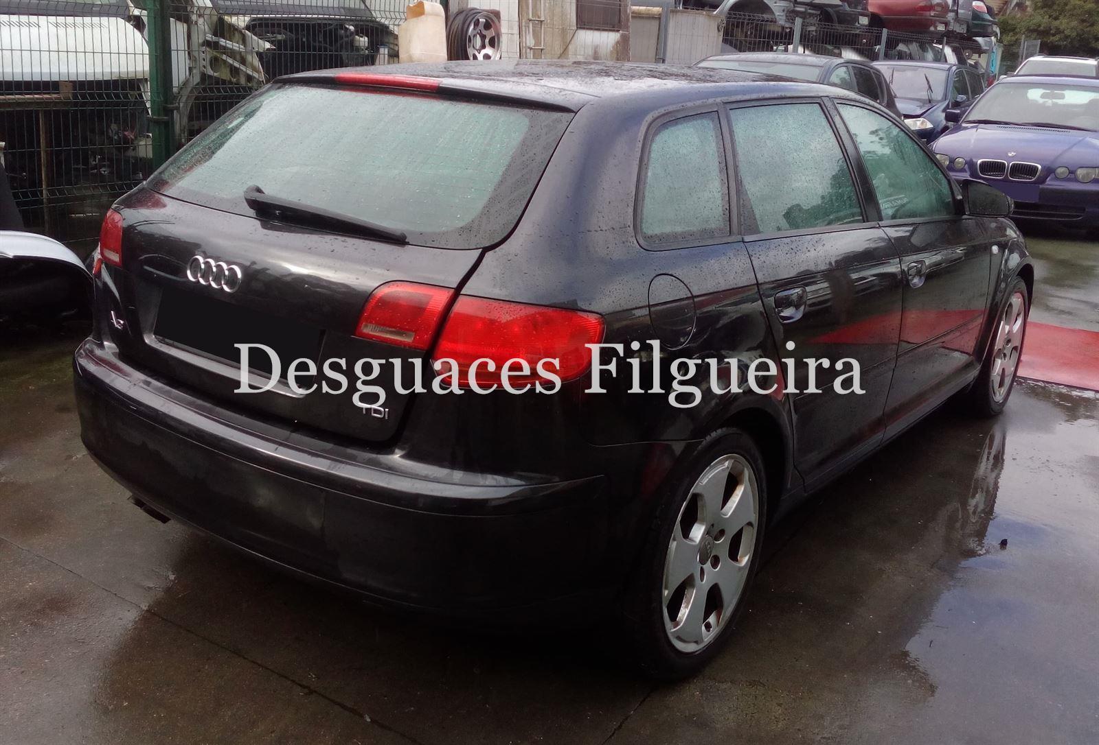 Despiece Audi A3 (8P) 1.9 TDI BKC - Imagen 6