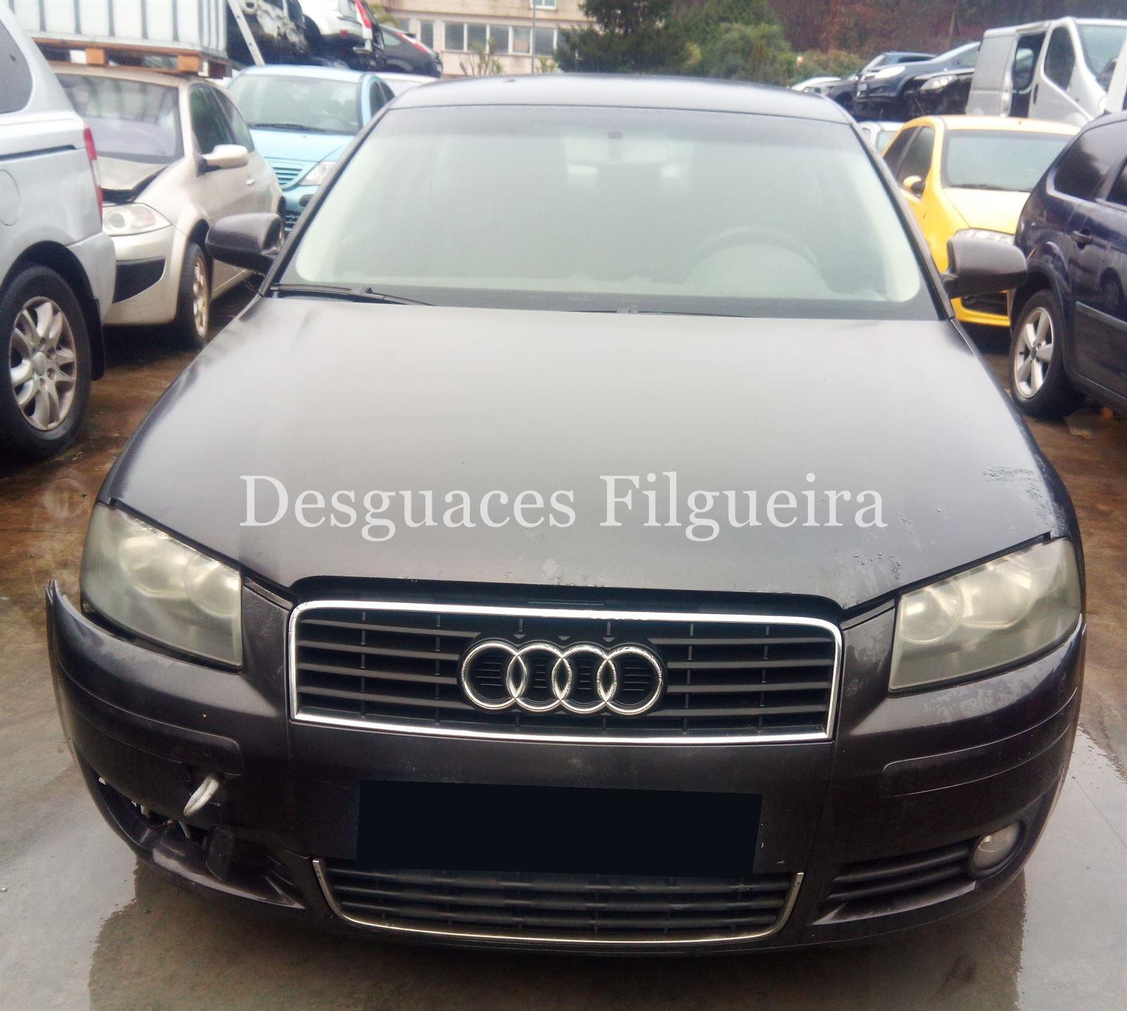 Despiece Audi A3 8P 1.9 TDI BKC - Imagen 1