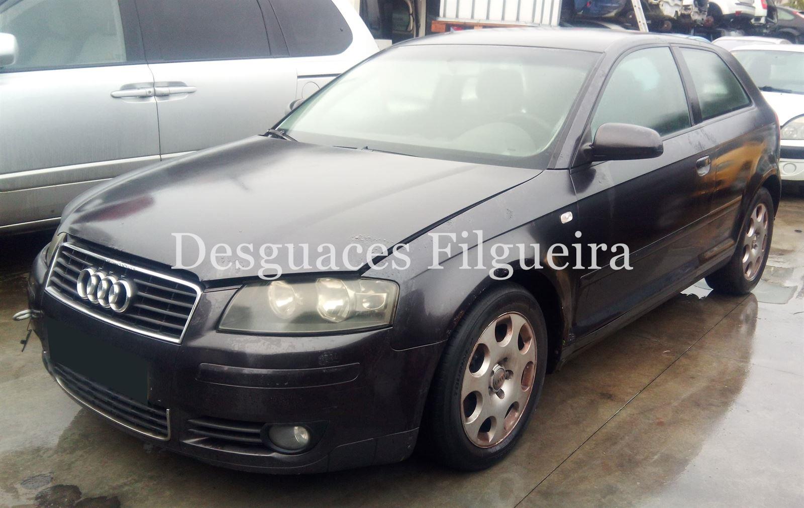 Despiece Audi A3 8P 1.9 TDI BKC - Imagen 2