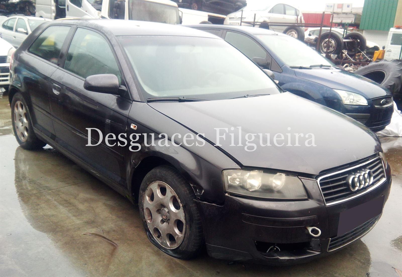 Despiece Audi A3 8P 1.9 TDI BKC - Imagen 3