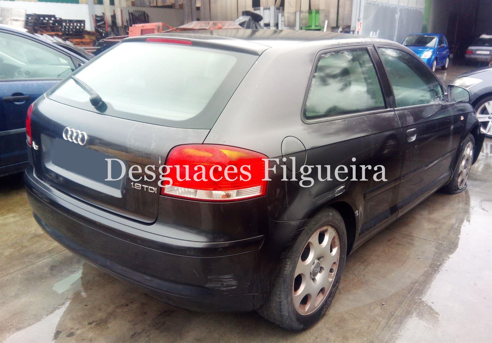 Despiece Audi A3 8P 1.9 TDI BKC - Imagen 4