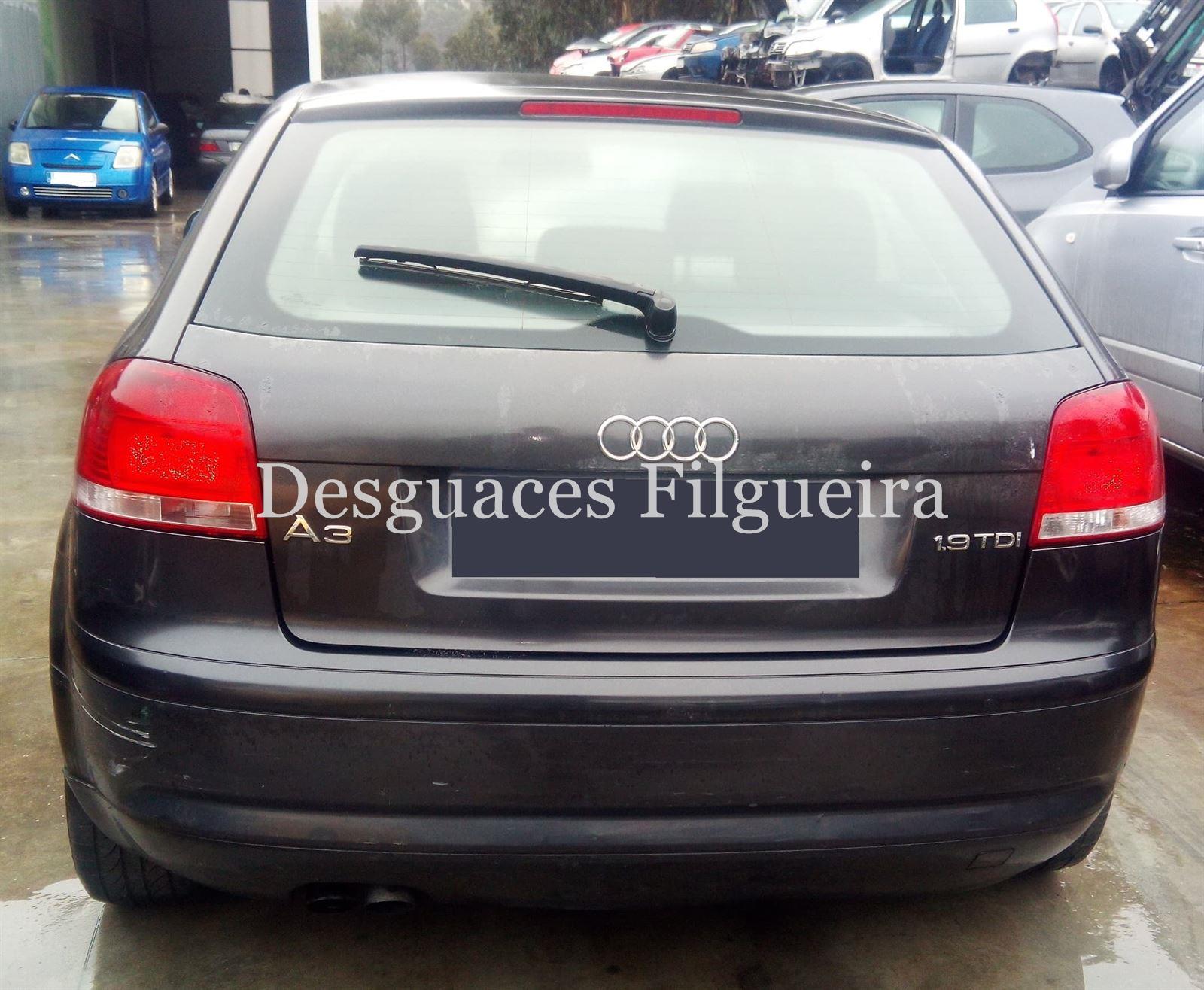 Despiece Audi A3 8P 1.9 TDI BKC - Imagen 5