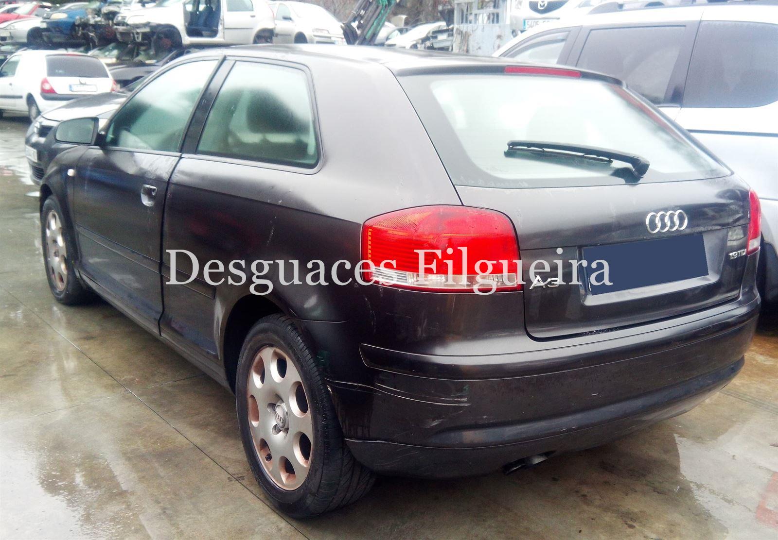 Despiece Audi A3 8P 1.9 TDI BKC - Imagen 6