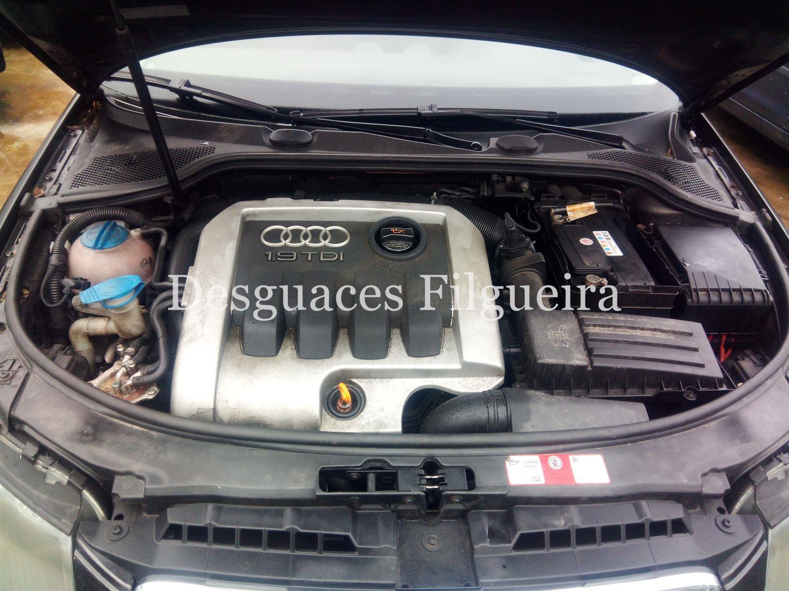 Despiece Audi A3 8P 1.9 TDI BKC - Imagen 8