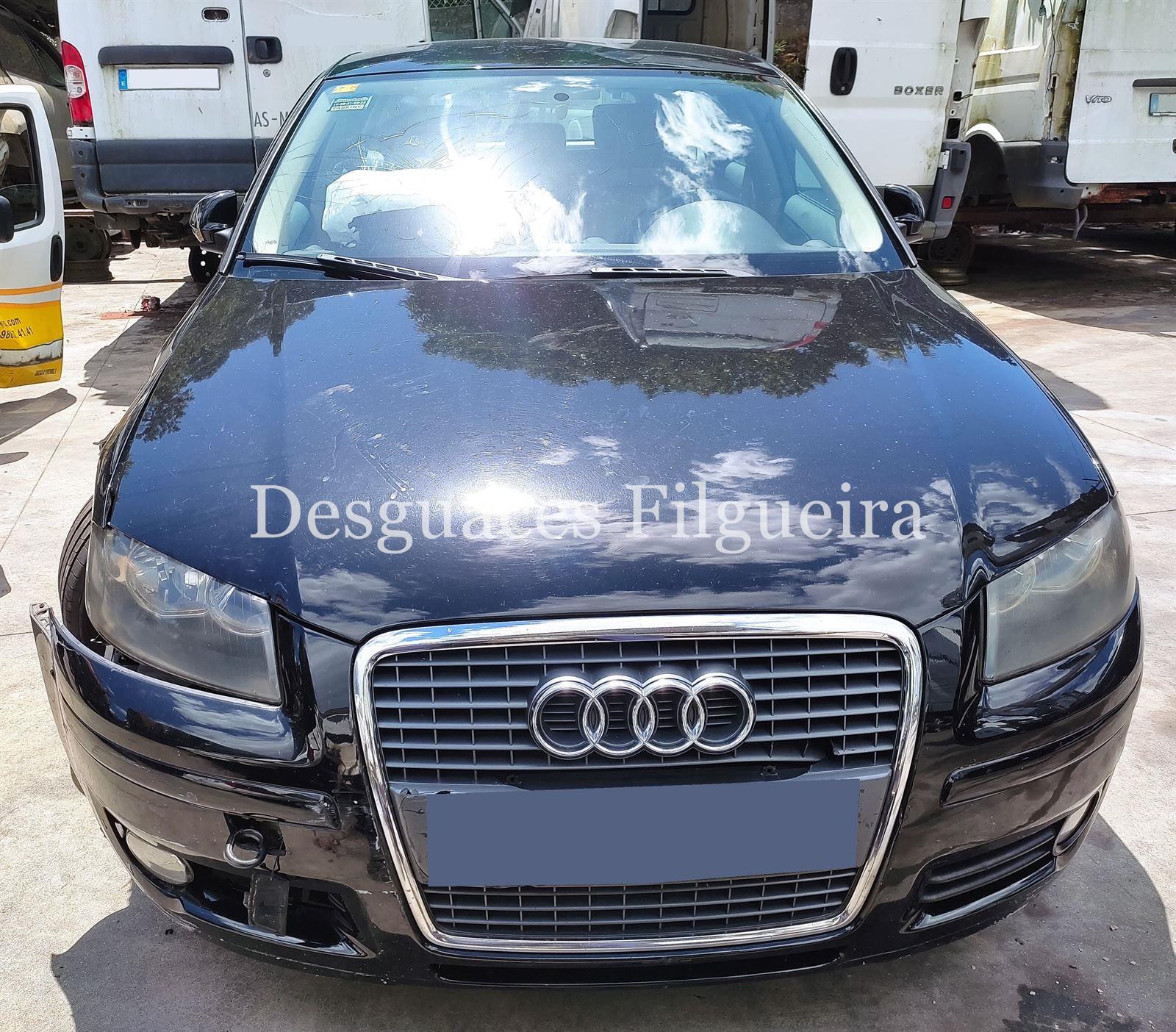 Despiece Audi A3 8P 2.0 TDI 16V BKD JLU - Imagen 1