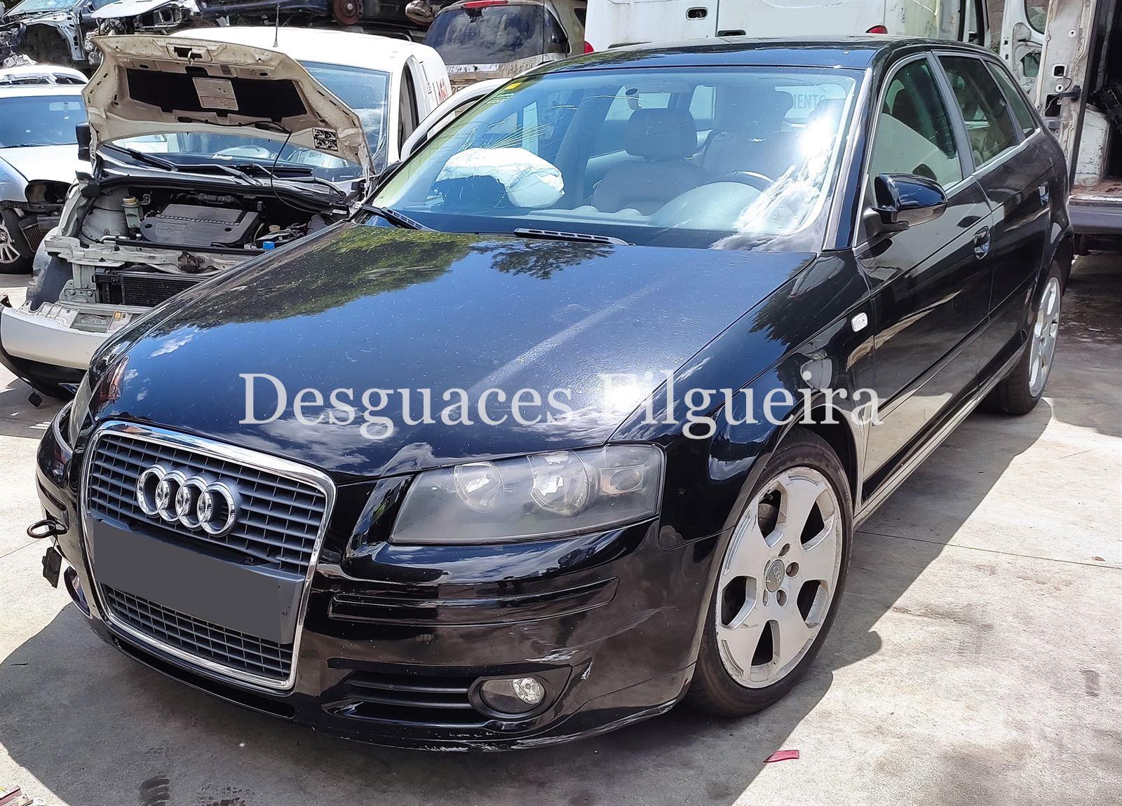 Despiece Audi A3 8P 2.0 TDI 16V BKD JLU - Imagen 2