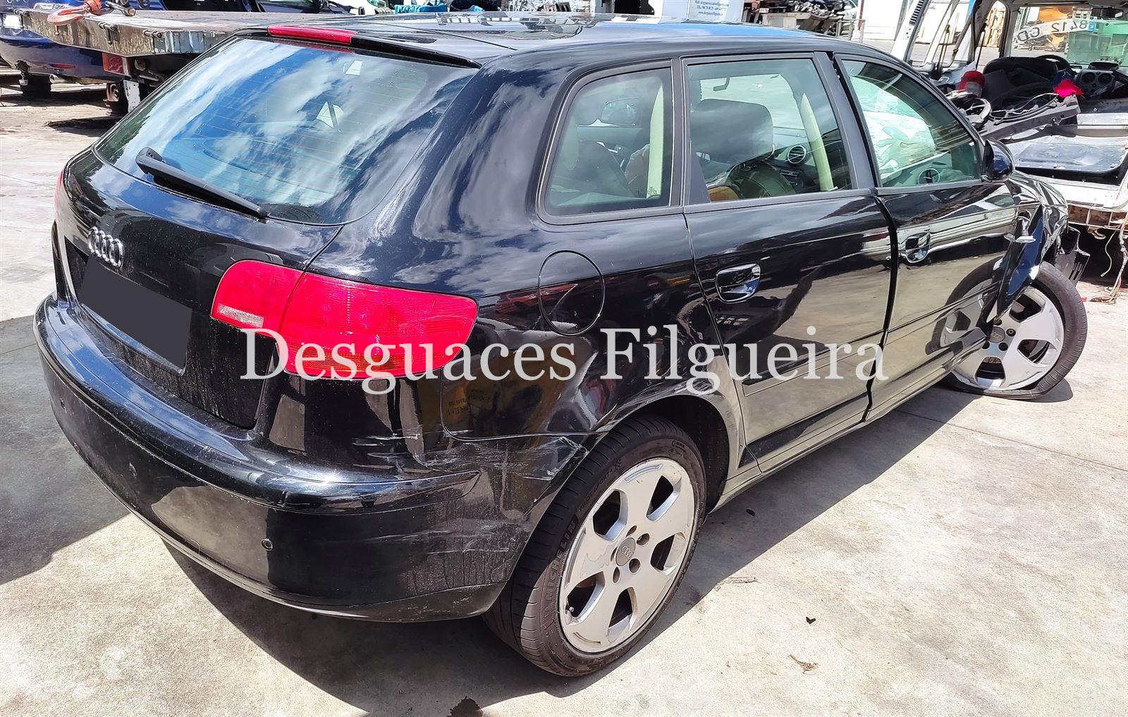 Despiece Audi A3 8P 2.0 TDI 16V BKD JLU - Imagen 4