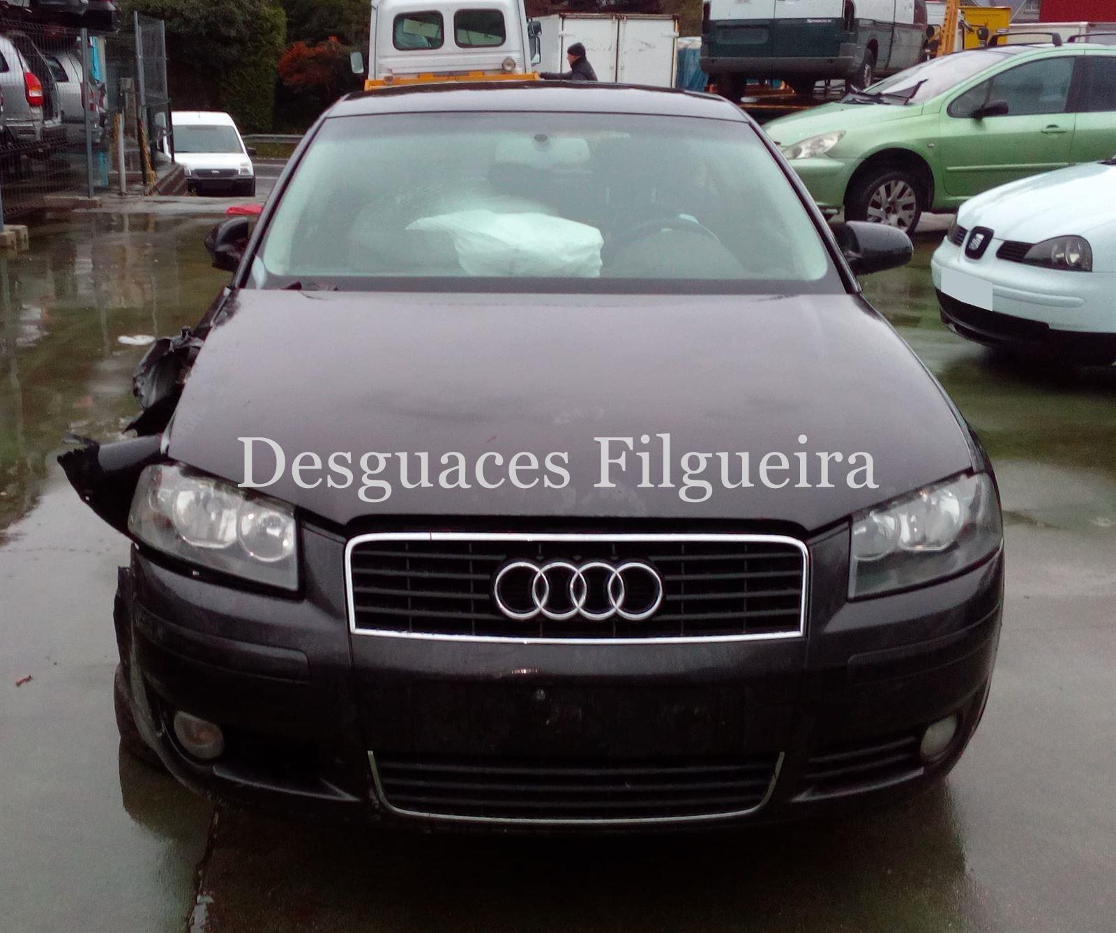 Despiece Audi A3 (8P) 2.0 TDI 16V BKD - Imagen 1