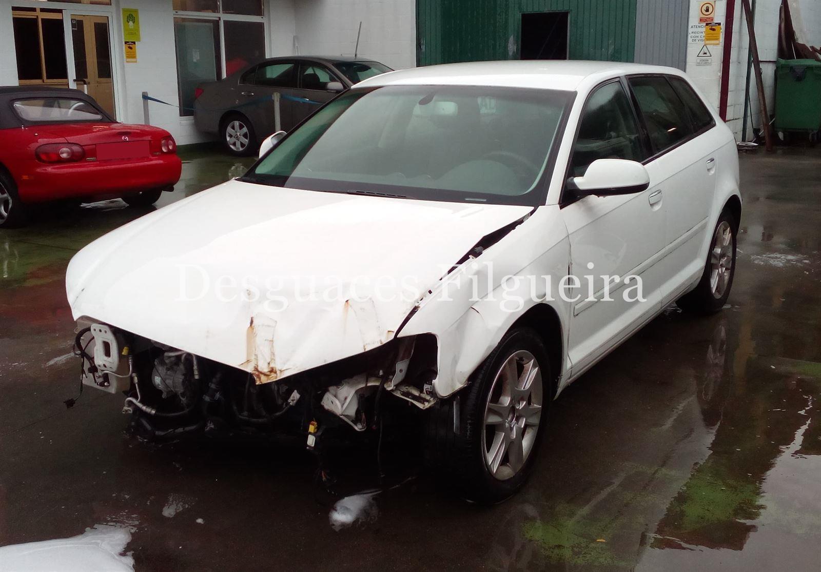 Despiece Audi A3 Sportback (8P) 1.6 TDI CAYC - Imagen 2