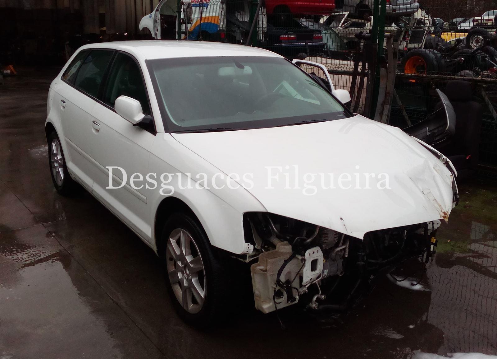 Despiece Audi A3 Sportback (8P) 1.6 TDI CAYC - Imagen 3