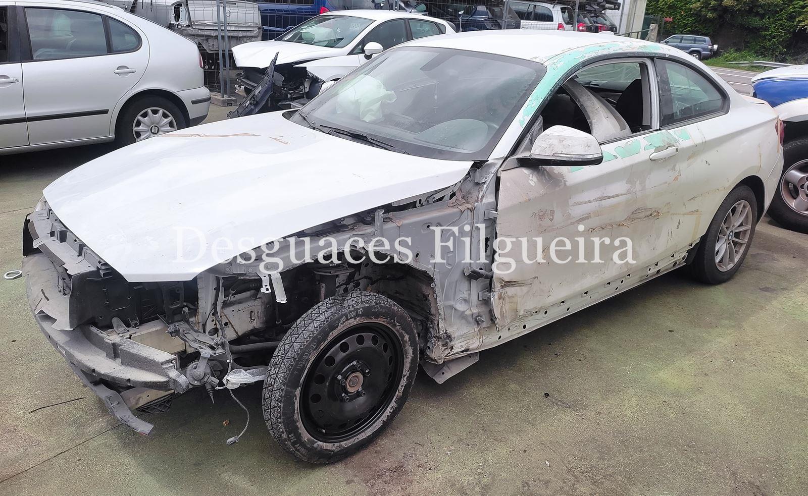 Despiece BMW serie 2 218D F22 - Imagen 3