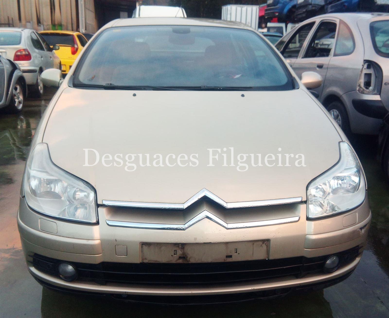 Despiece Citroen C5 1.6 HDI 9HZ - Imagen 1