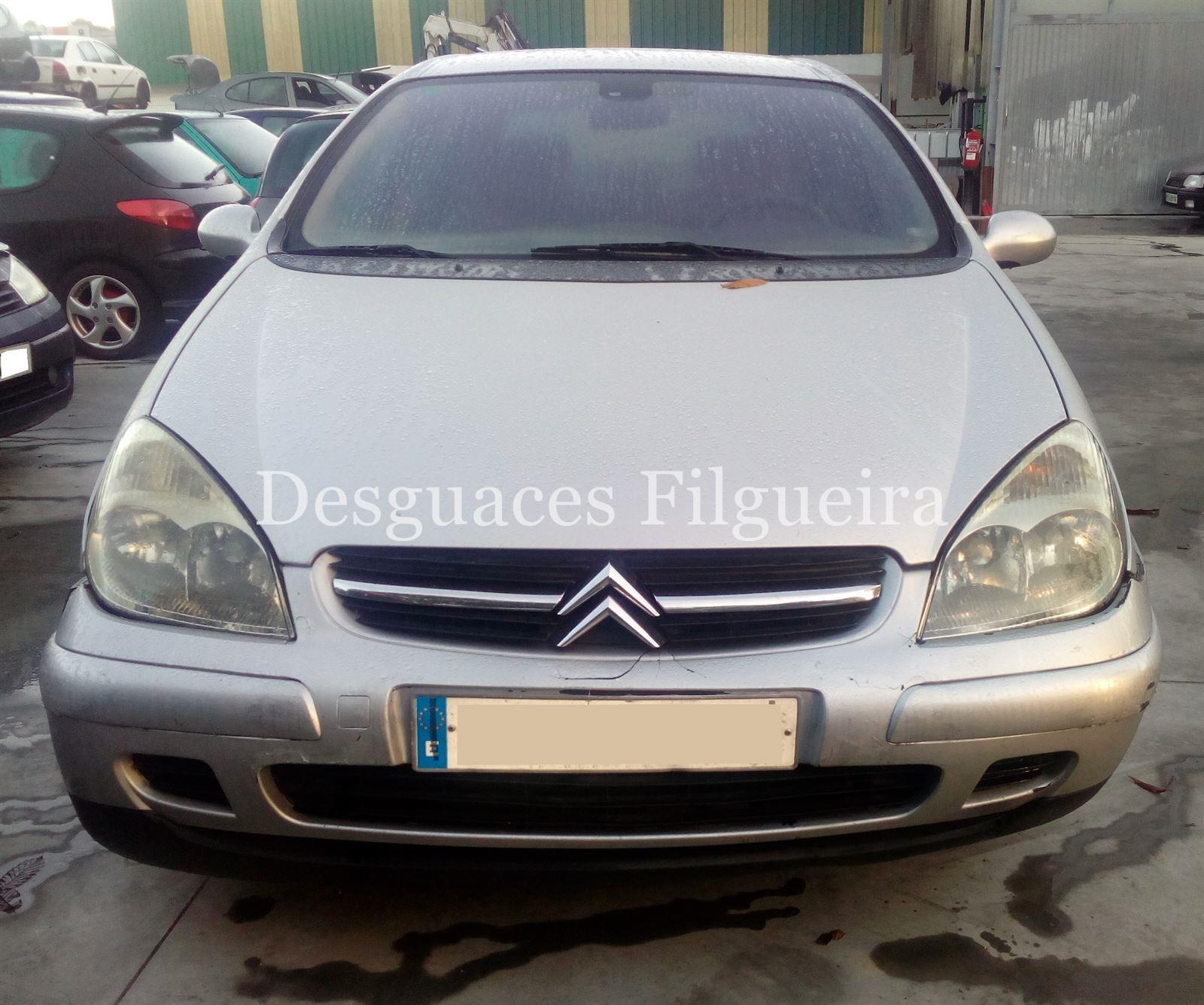 Despiece Citroen C5 2.0 HDI RHZ - Imagen 1