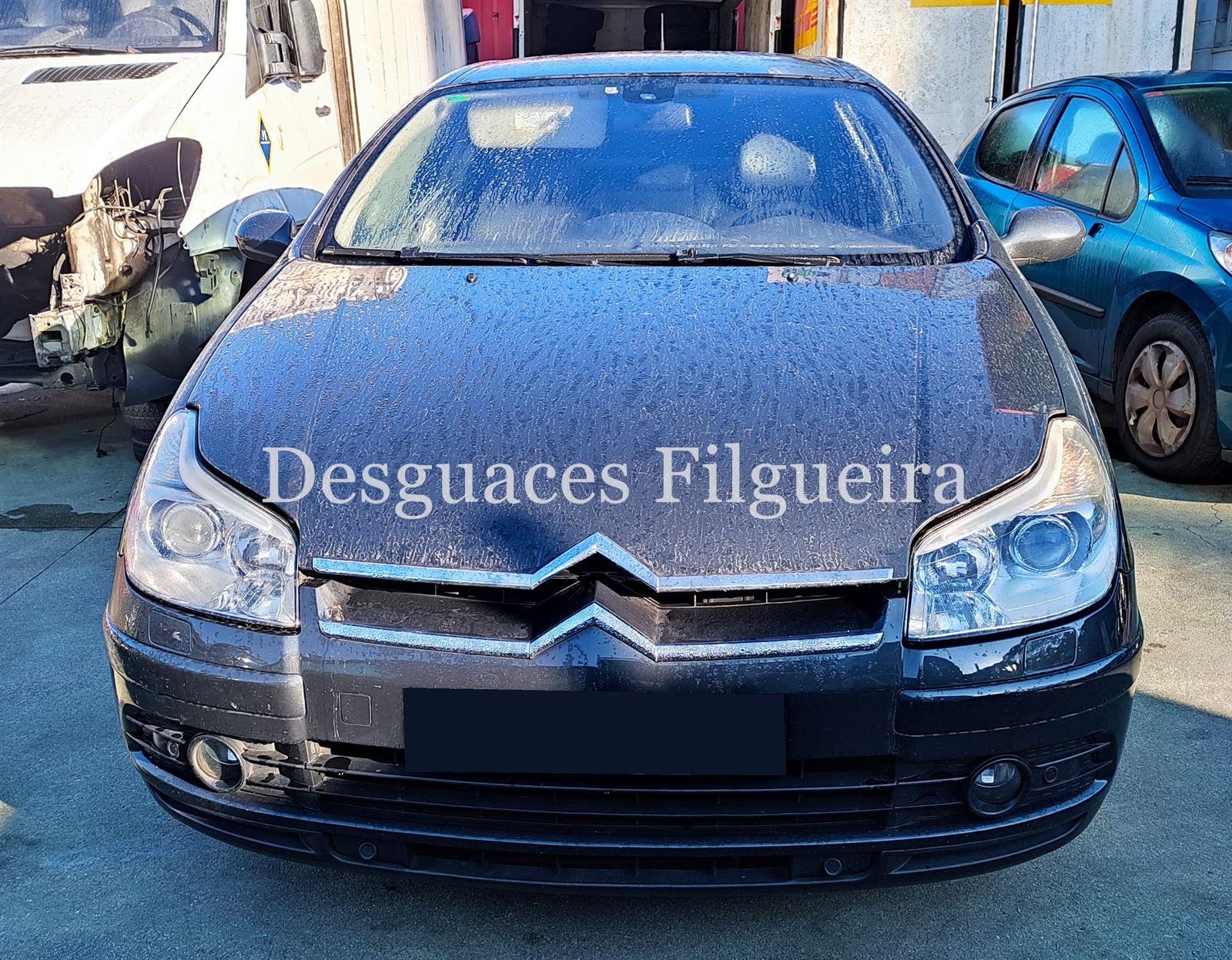 Despiece Citroen C5 3.0 V6 24V automatico XFU - Imagen 1