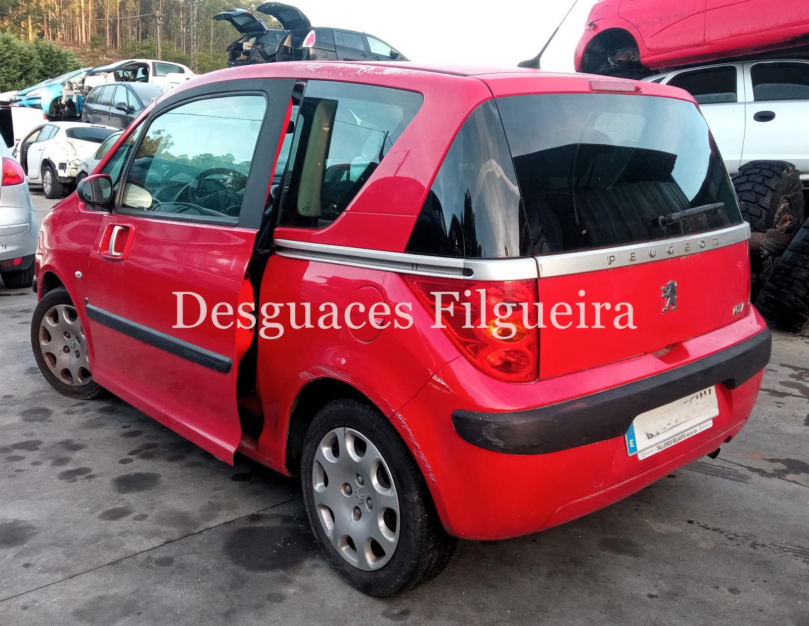 Despiece de Peugeot 1007 1.4 Urban 88cv, código de motor KFU, año 2006. - Imagen 11