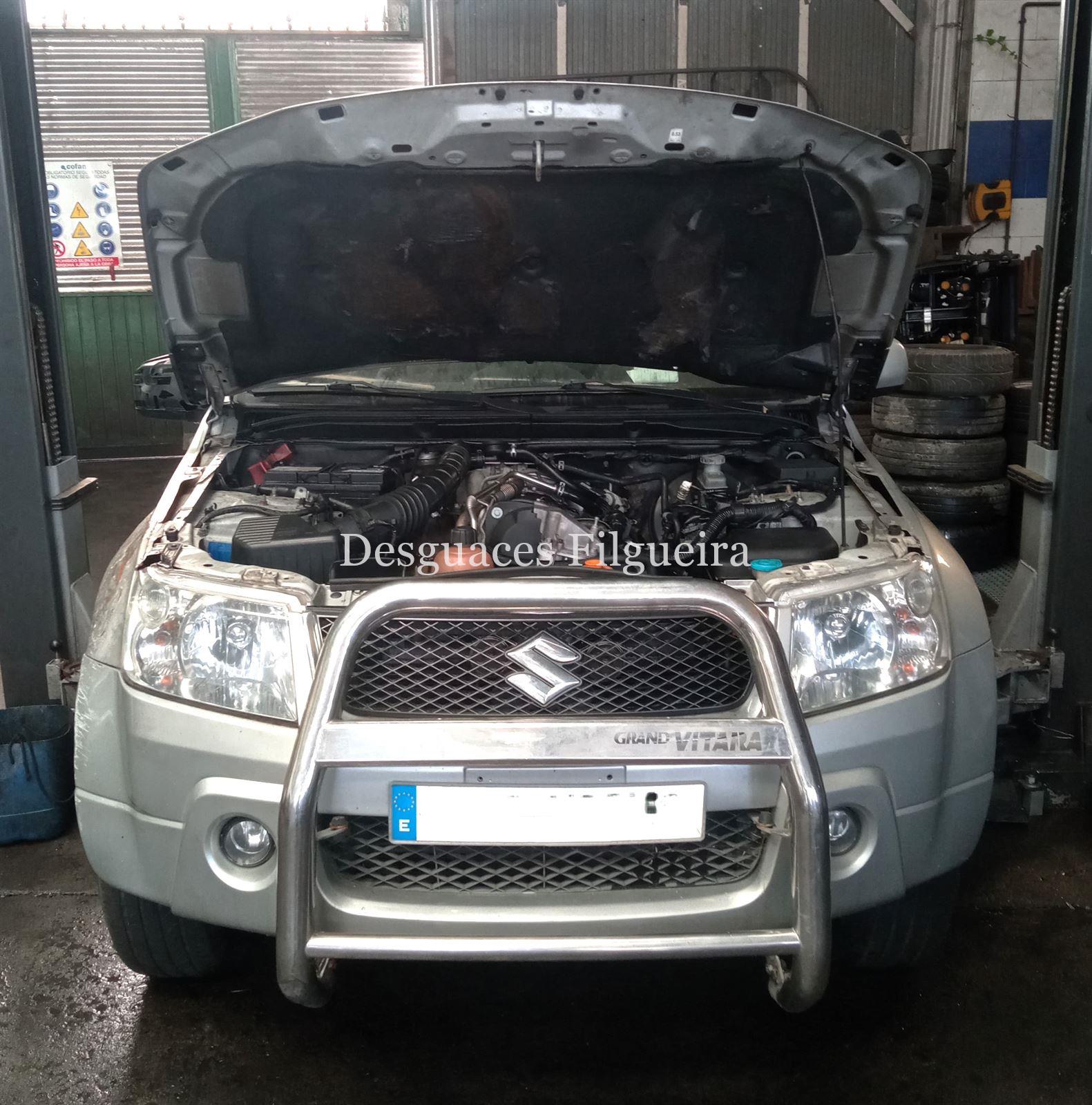 Despiece de Suzuki Grand Vitara 1.9 DDiS, 120 cv, código de motor F9Q, año 2007. - Imagen 8
