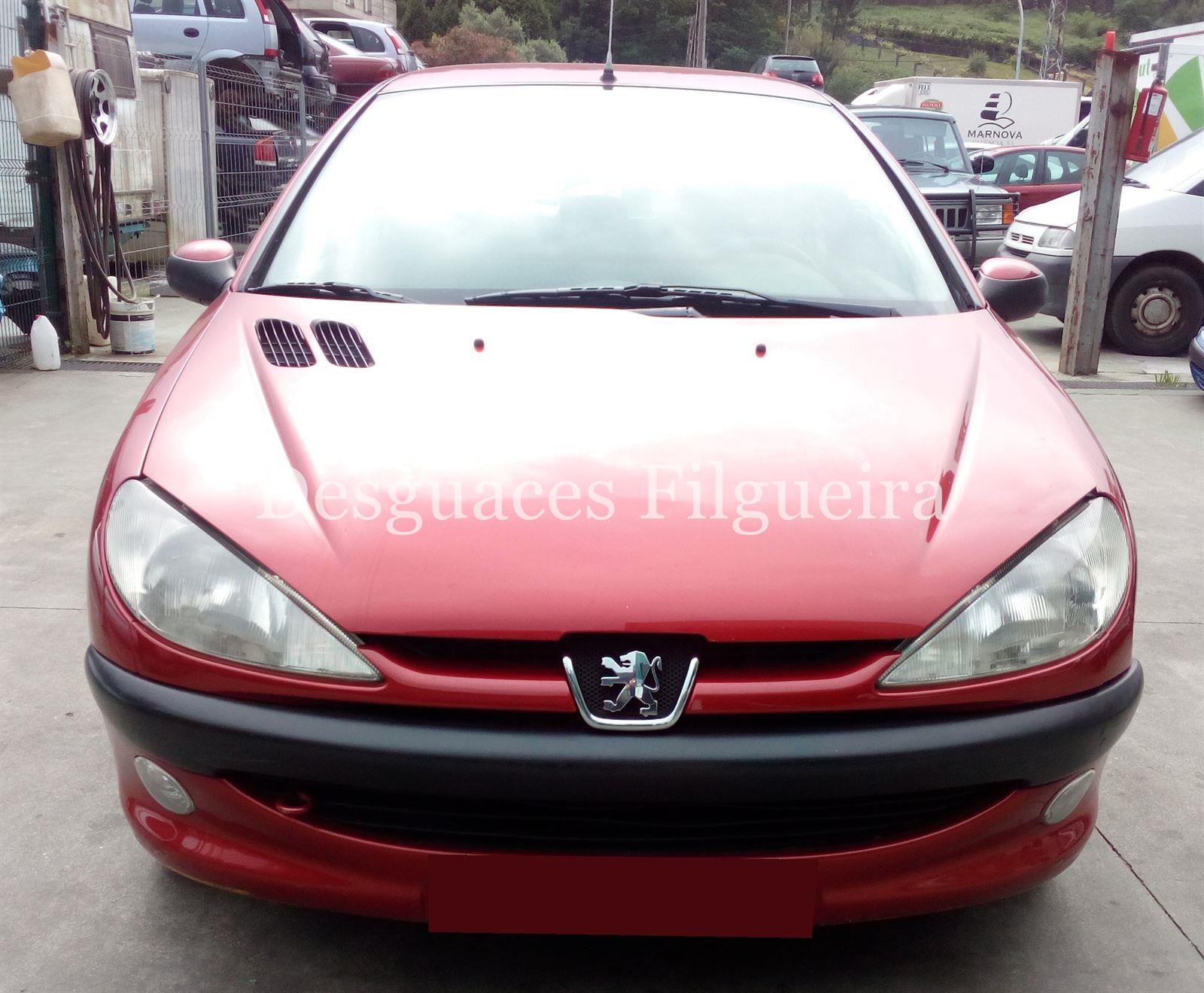 Despiece Peugeot 206 1. 9D WJZ - Imagen 1