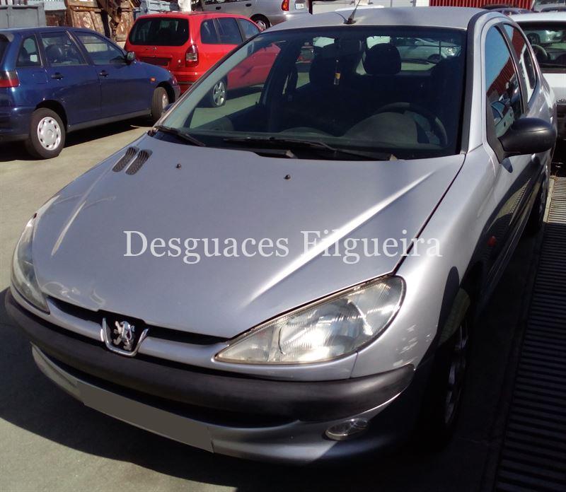 Despiece Peugeot 206 1.9D - Imagen 1