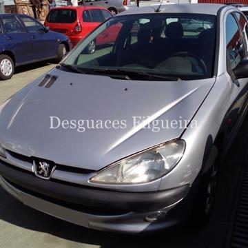 Despiece Peugeot 206 1.9D - Imagen 1
