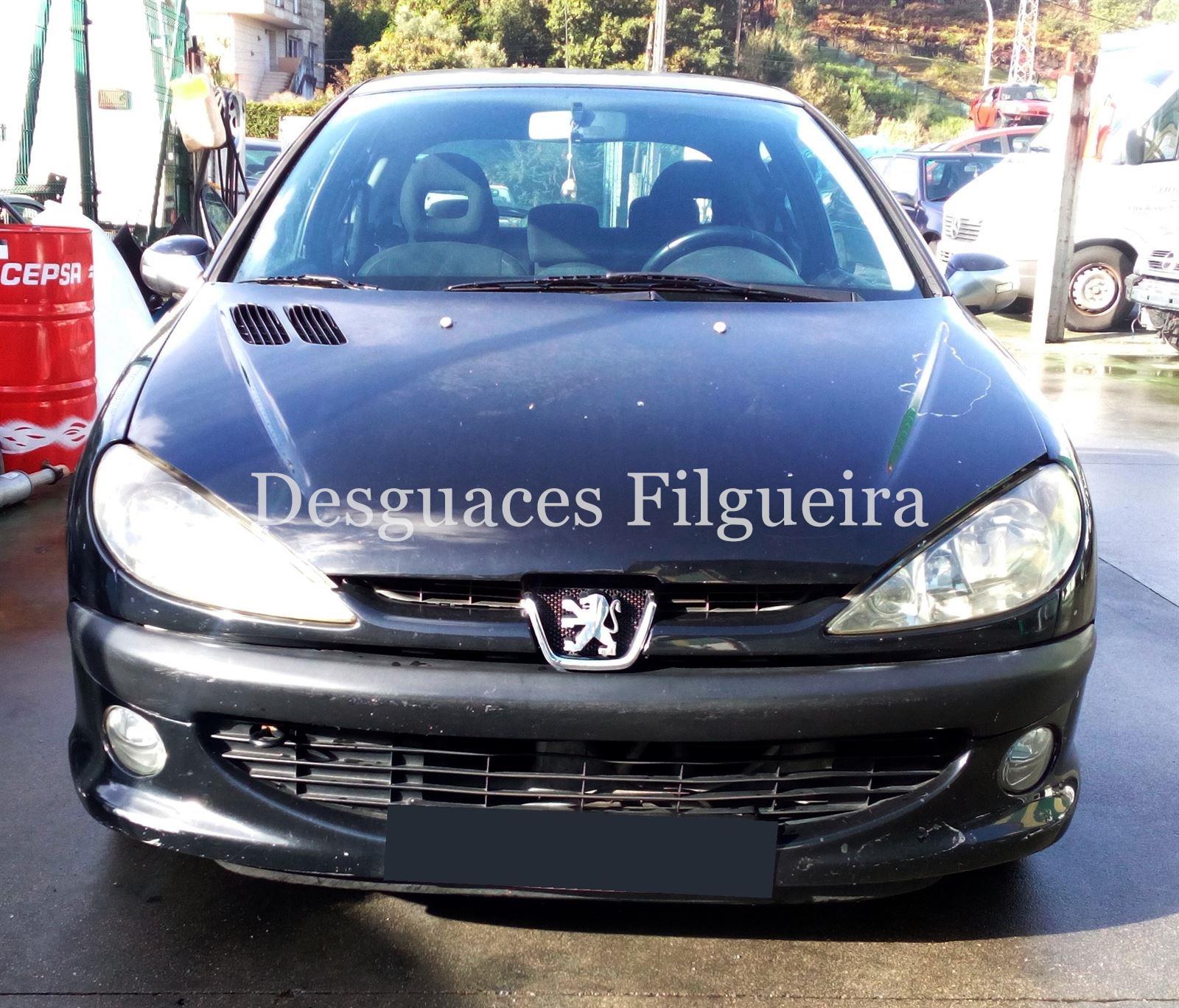 Despiece Peugeot 206 2. 0 HDI RHY - Imagen 1