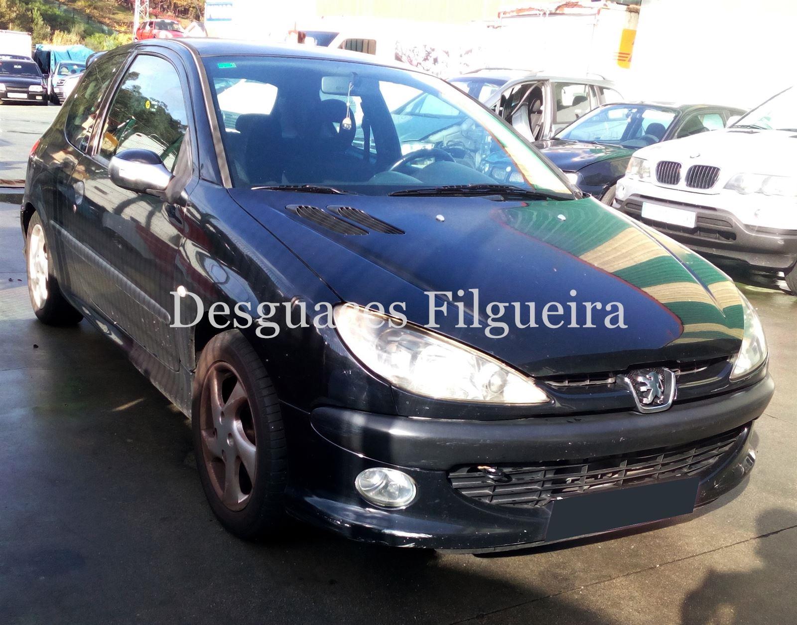 Despiece Peugeot 206 2. 0 HDI RHY - Imagen 2