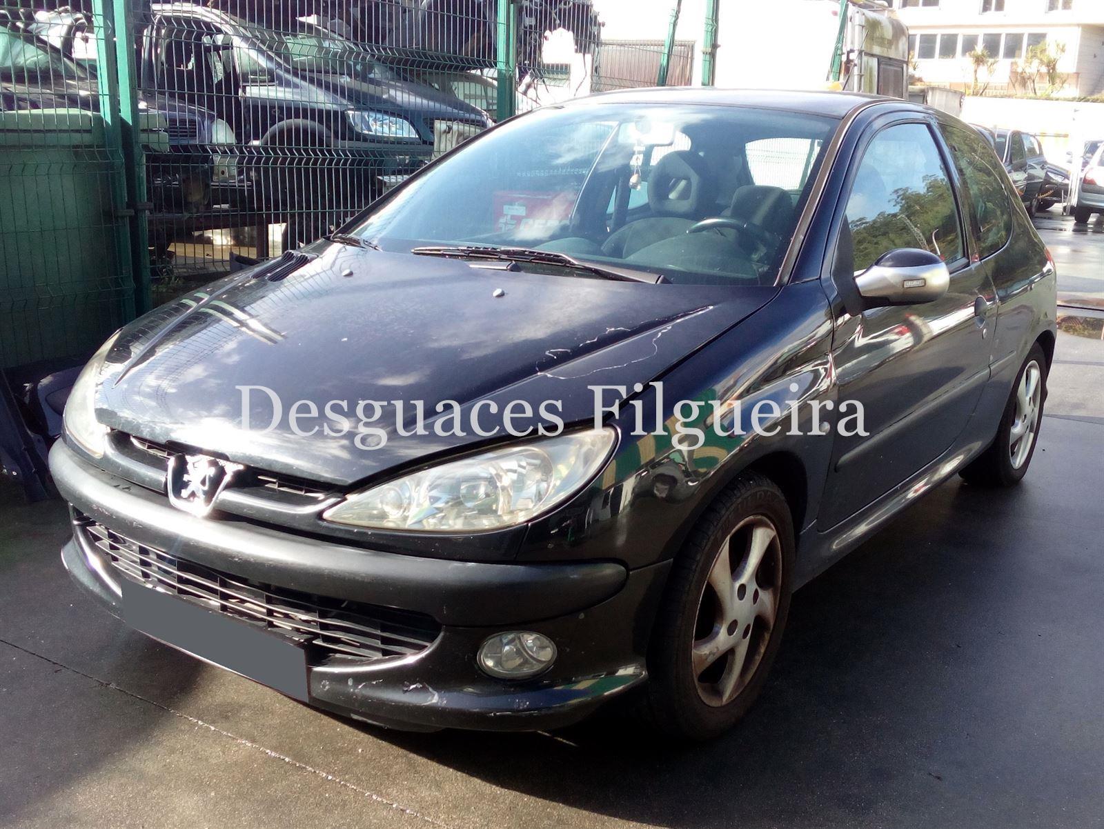 Despiece Peugeot 206 2. 0 HDI RHY - Imagen 3