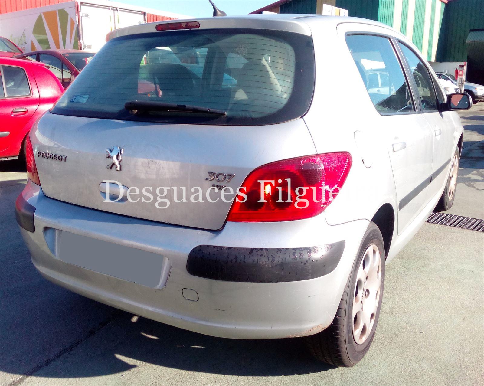 Despiece Peugeot 307 2. 0 HDI RHY - Imagen 6