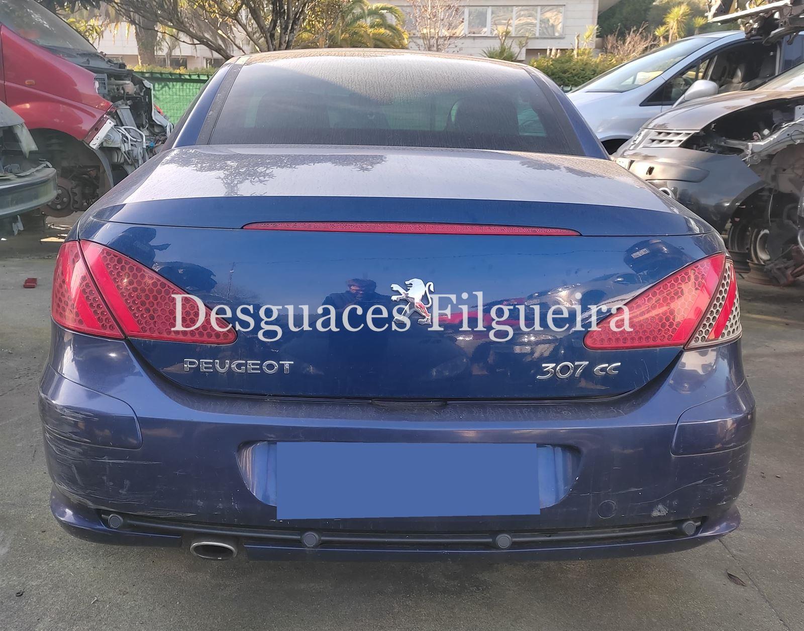 Despiece Peugeot 307 CC 2.0 16V RFN - Imagen 5