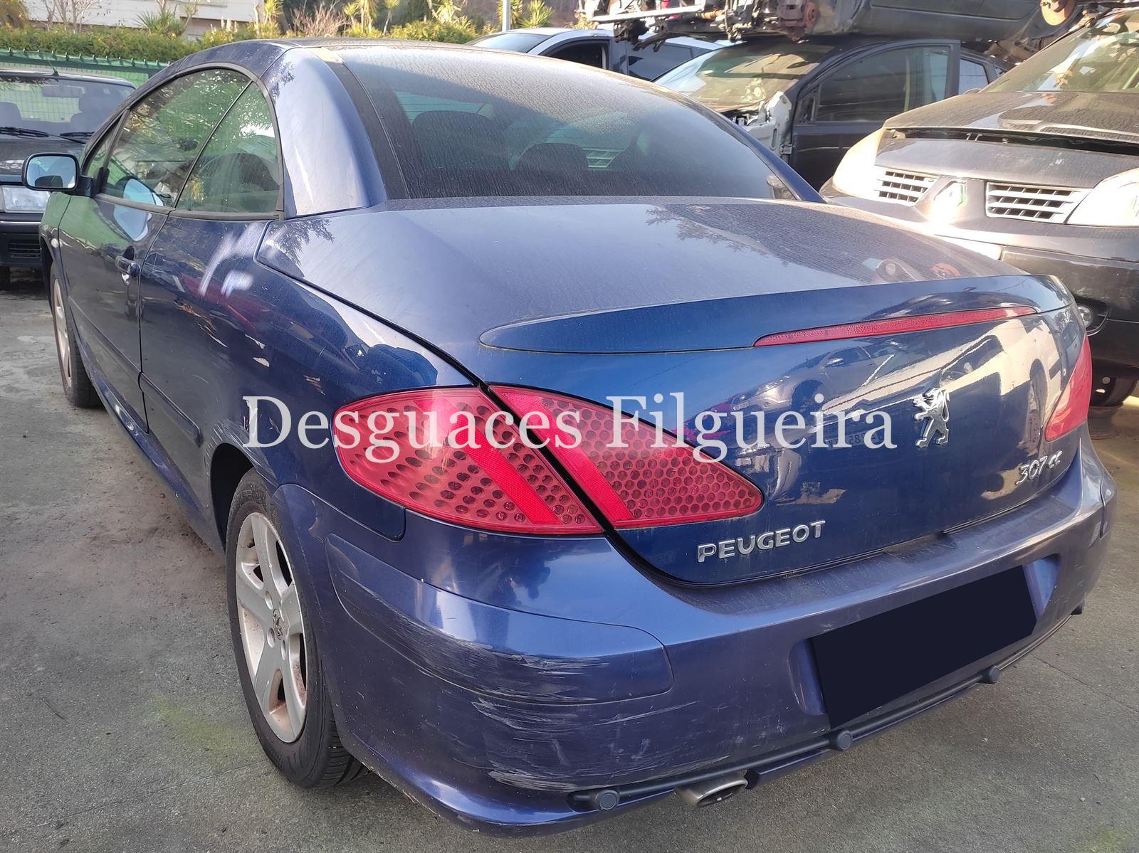 Despiece Peugeot 307 CC 2.0 16V RFN - Imagen 6