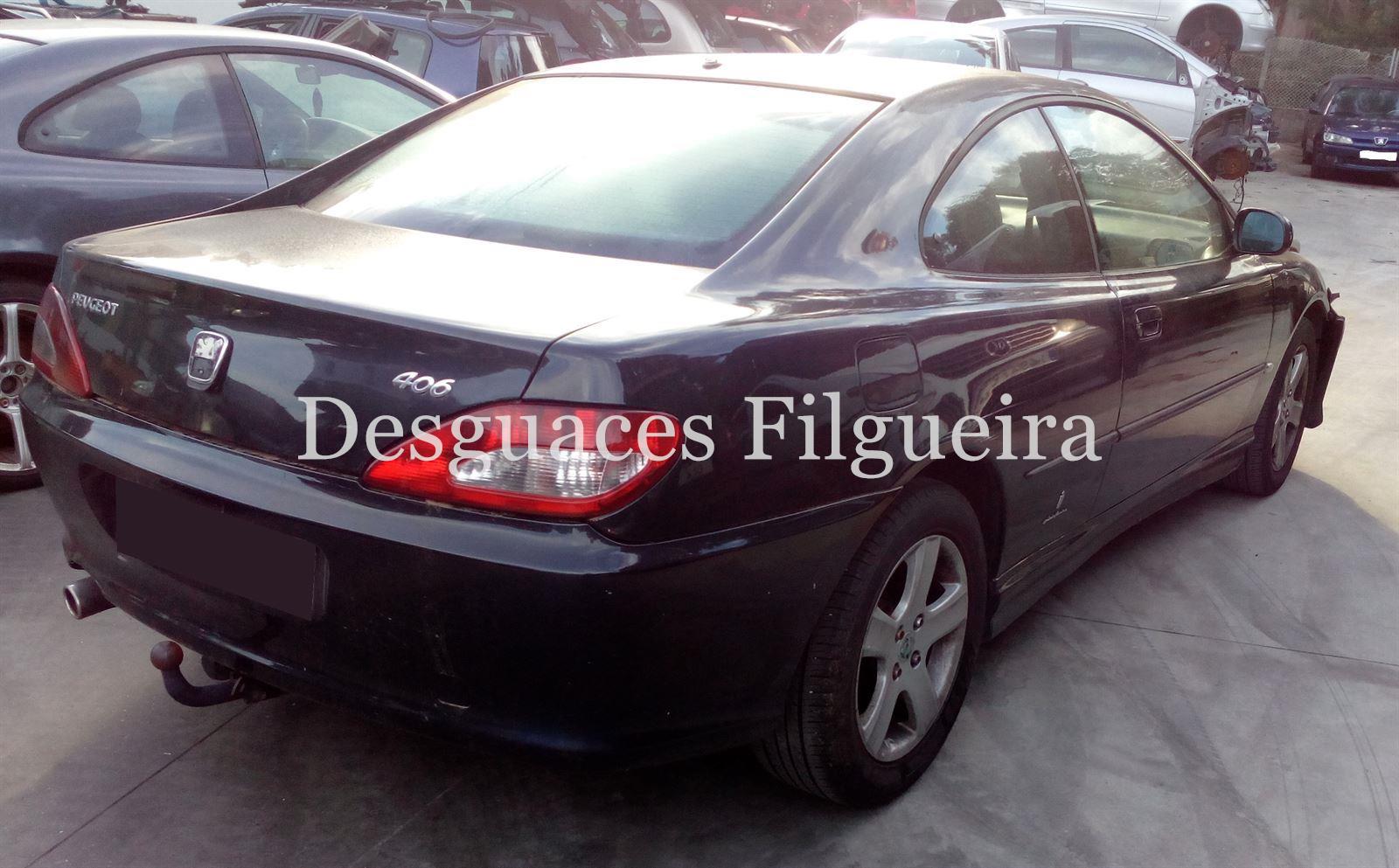 Despiece Peugeot 406 coupe 2.2 HDI - Imagen 7