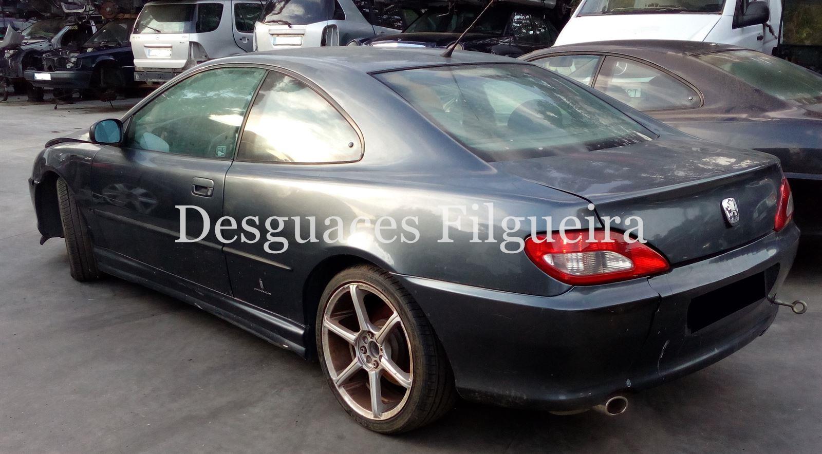 Despiece Peugeot 406 coupe 3.0 V6 - Imagen 6