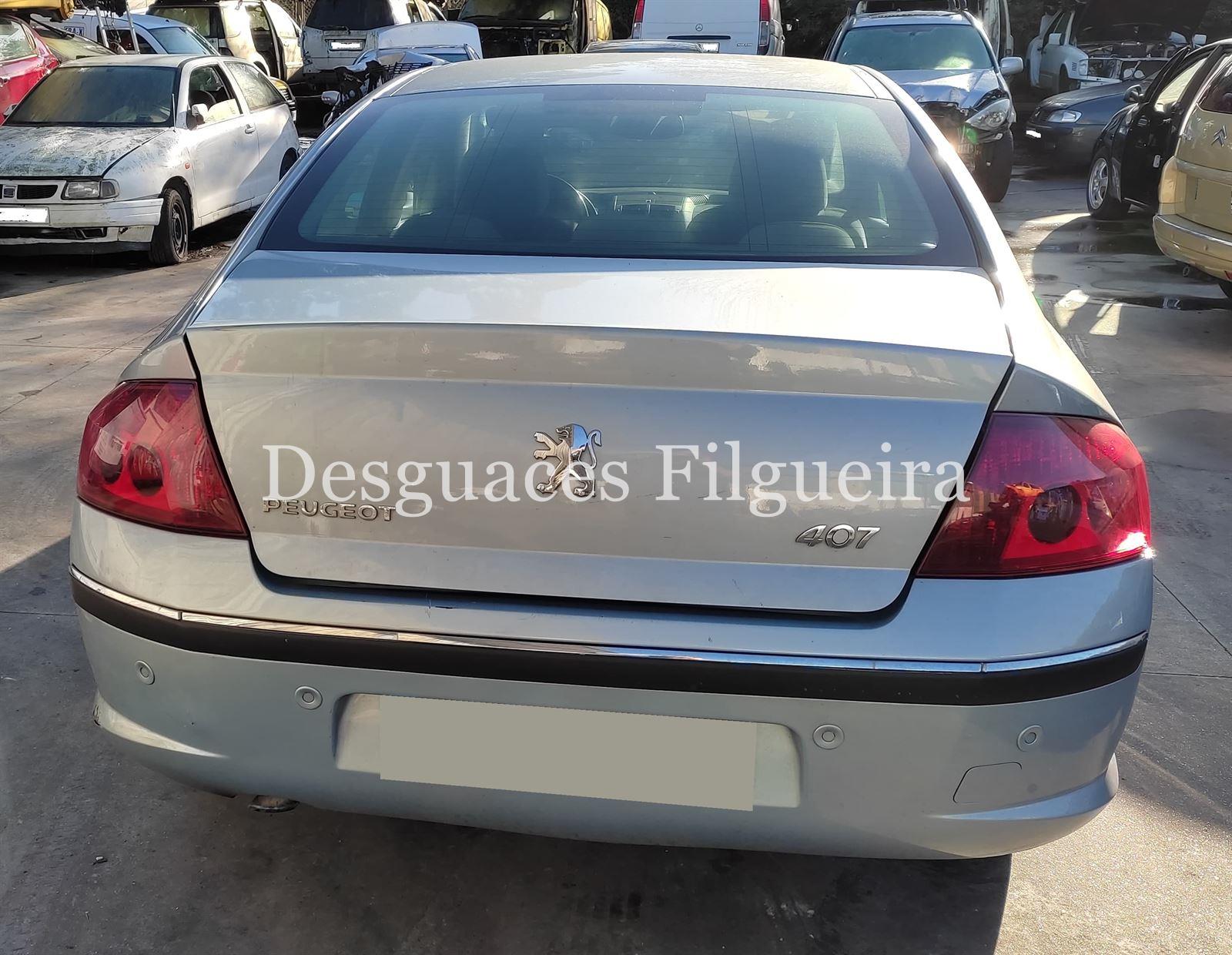 Despiece Peugeot 407 2.0 HDI RHR - Imagen 5