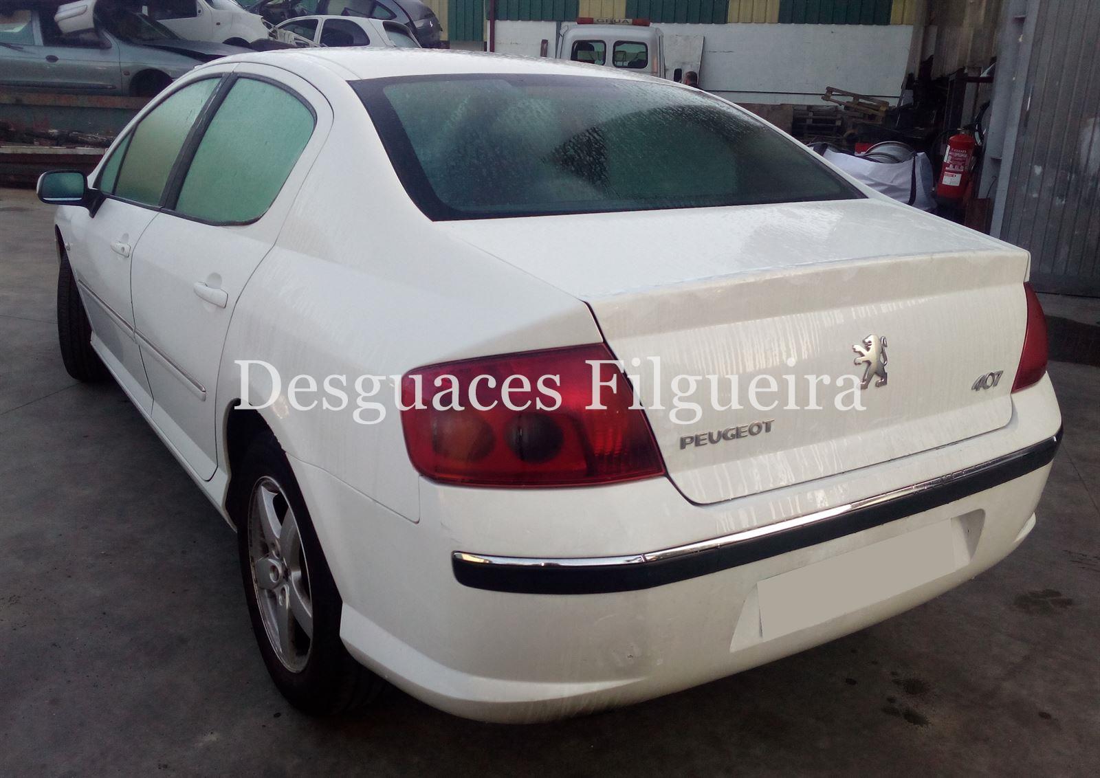 Despiece Peugeot 407 2.0 HDI RHR - Imagen 6